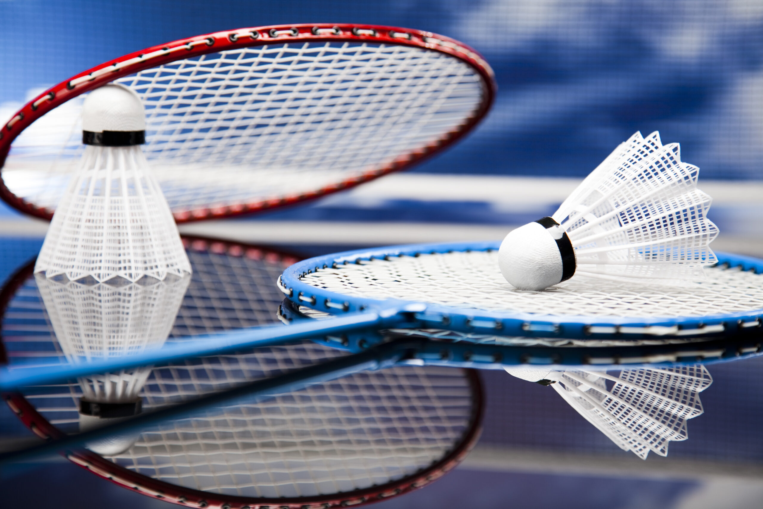 札幌 バドミントン 社会人 サークル S F B